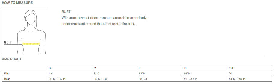 Nike Ladies Tech Basic Dri-FIT Polo - Image 2